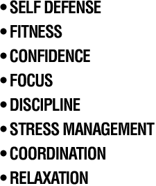 Self Defense. Fitness. Confidence. Focus. Discipline. Stress Management. Coordination. Relaxation.