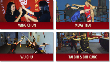 Wing Chun, Muay Thai, Wu Shu, Tai Chi and Chi Kung